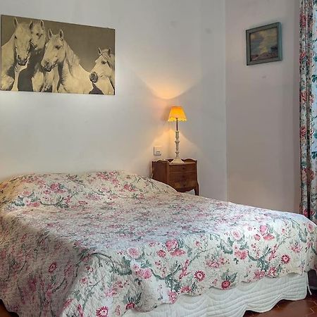 생 질 Mas De Charme En Pleine Camargue 빌라 외부 사진